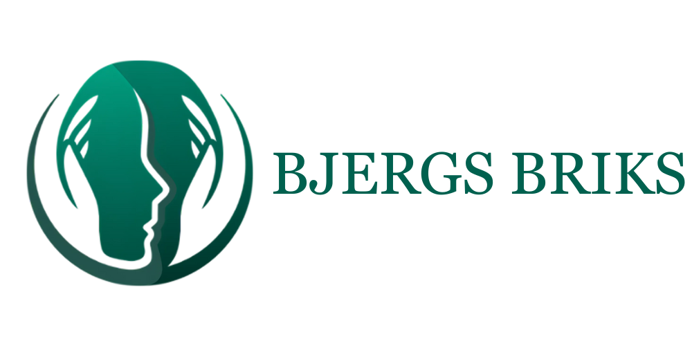 Bjergs Briks logo